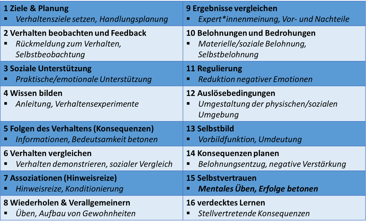 Tabelle 2: Überblick über die 16 BCT-Bereiche und Beispiele für Interventionsmethoden, eigene Darstellung nach Michie et al., 2013.